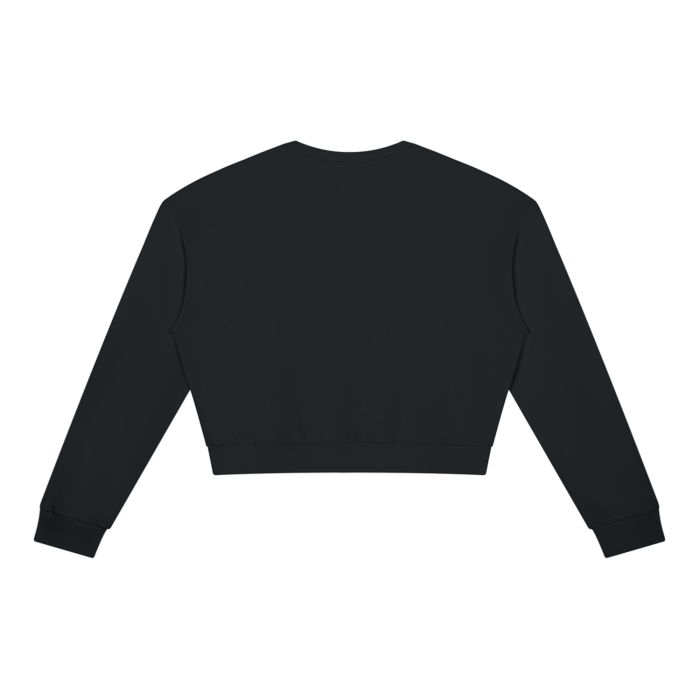 South Vinland – Women’s Compass Crewneck · G002 - Image 2